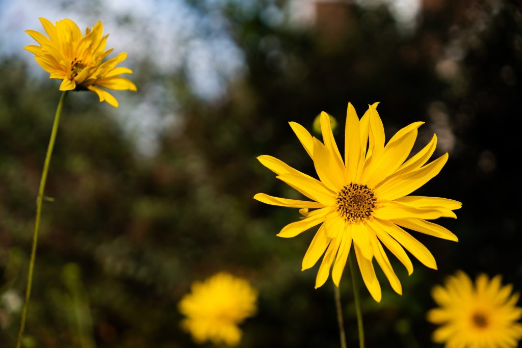 18_50_28_dc_dn_c021_Impression_Damien_Dohmen22_gall_04