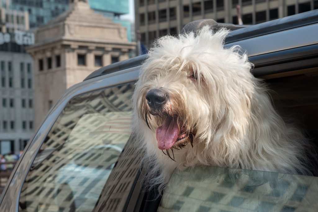 18_50_28_dc_dn_c021_Impression_Jim-Koepnick_22_gall_04