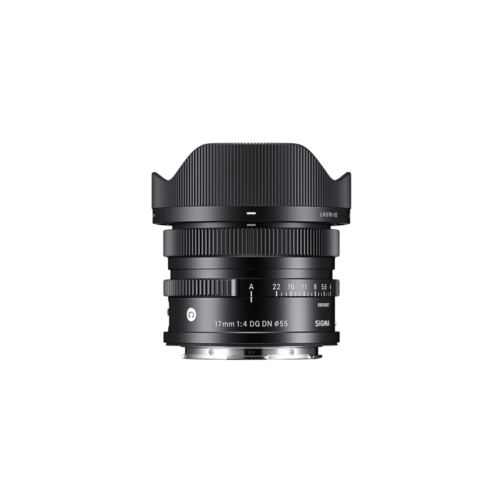 17mm F4 DG DN